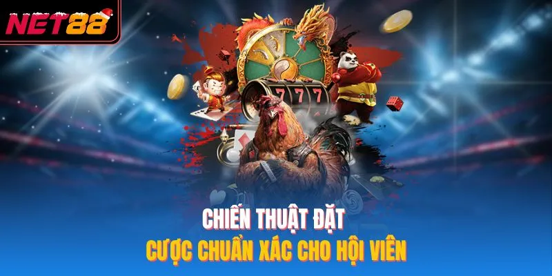 Đá Gà Campuchia – Kinh Nghiệm Thắng NET88 Hiệu Quả Nhất 2026 Chiến thuật đặt cược chuẩn xác cho hội viên